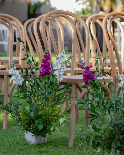 Row of wooden chairs with floral arrangements. Wedding setting.